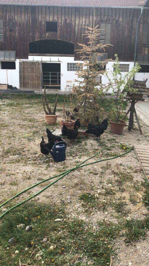Pferdehof-Dietzsch Tittmoning Exteriér fotografie
