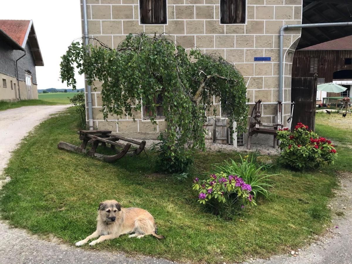 Pferdehof-Dietzsch Tittmoning Exteriér fotografie