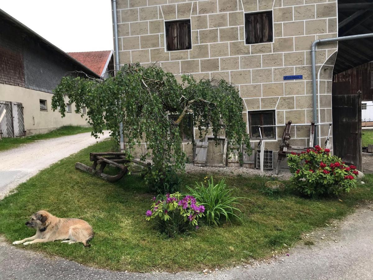 Pferdehof-Dietzsch Tittmoning Exteriér fotografie